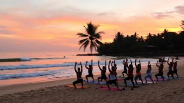 Yoga & Wellness